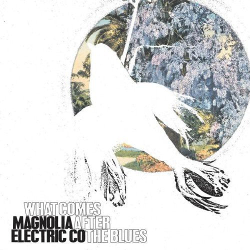 Magnolia Electric Co./What Comes After The Blues [LP]