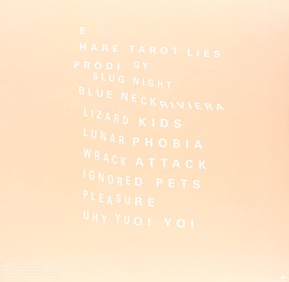 No Joy/Wait To Pleasure [LP]