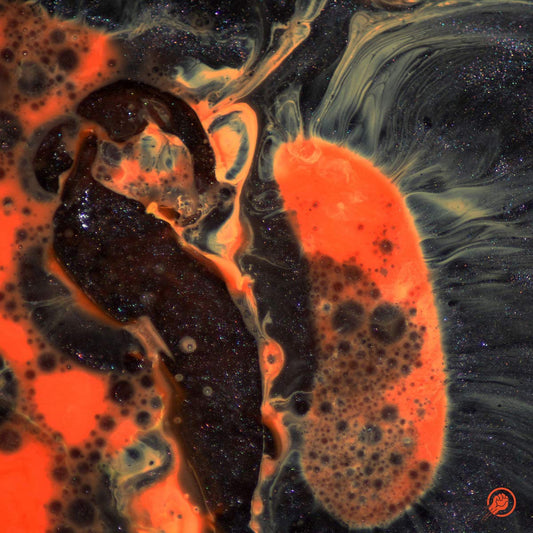 Comet Is Coming, The/Death To The Planet [LP]