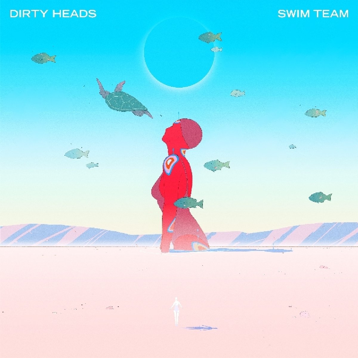 Dirty Heads/Swim Team [LP]