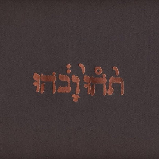 Godspeed You! Black Emperor!/Slow Riot For New Zero Kanada EP [LP]