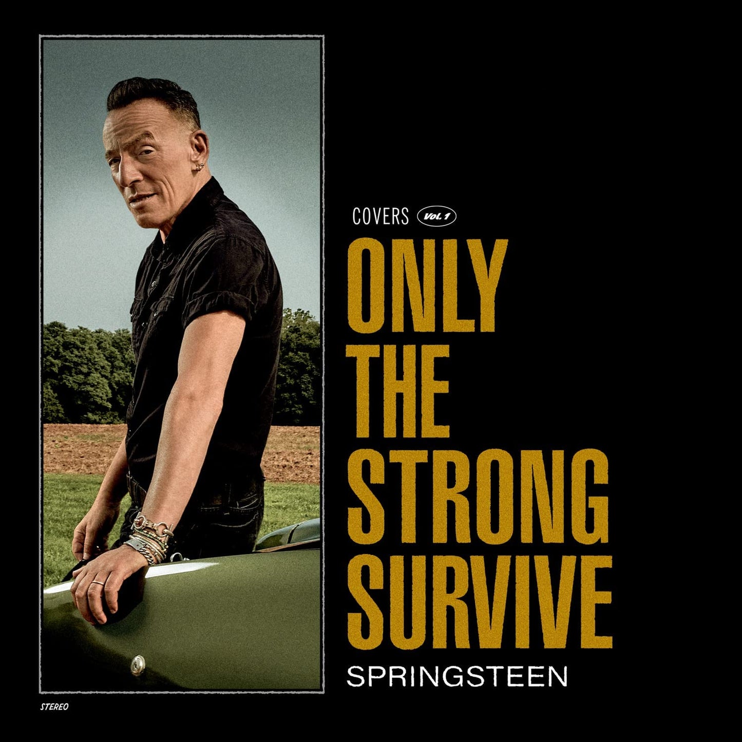 Springsteen, Bruce/Only The Strong Survive [LP]