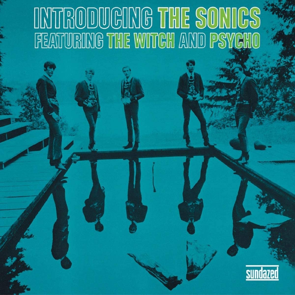 Sonics, The/Introducing The Sonics [LP]