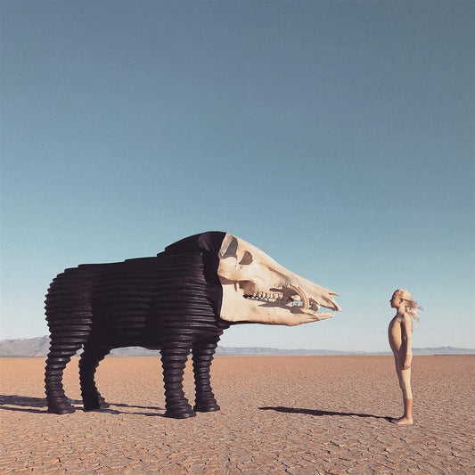 Man Man/Dream Hunting In The Valley of The In-Between [LP]