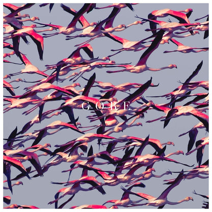 Deftones/Gore (2LP) [LP]