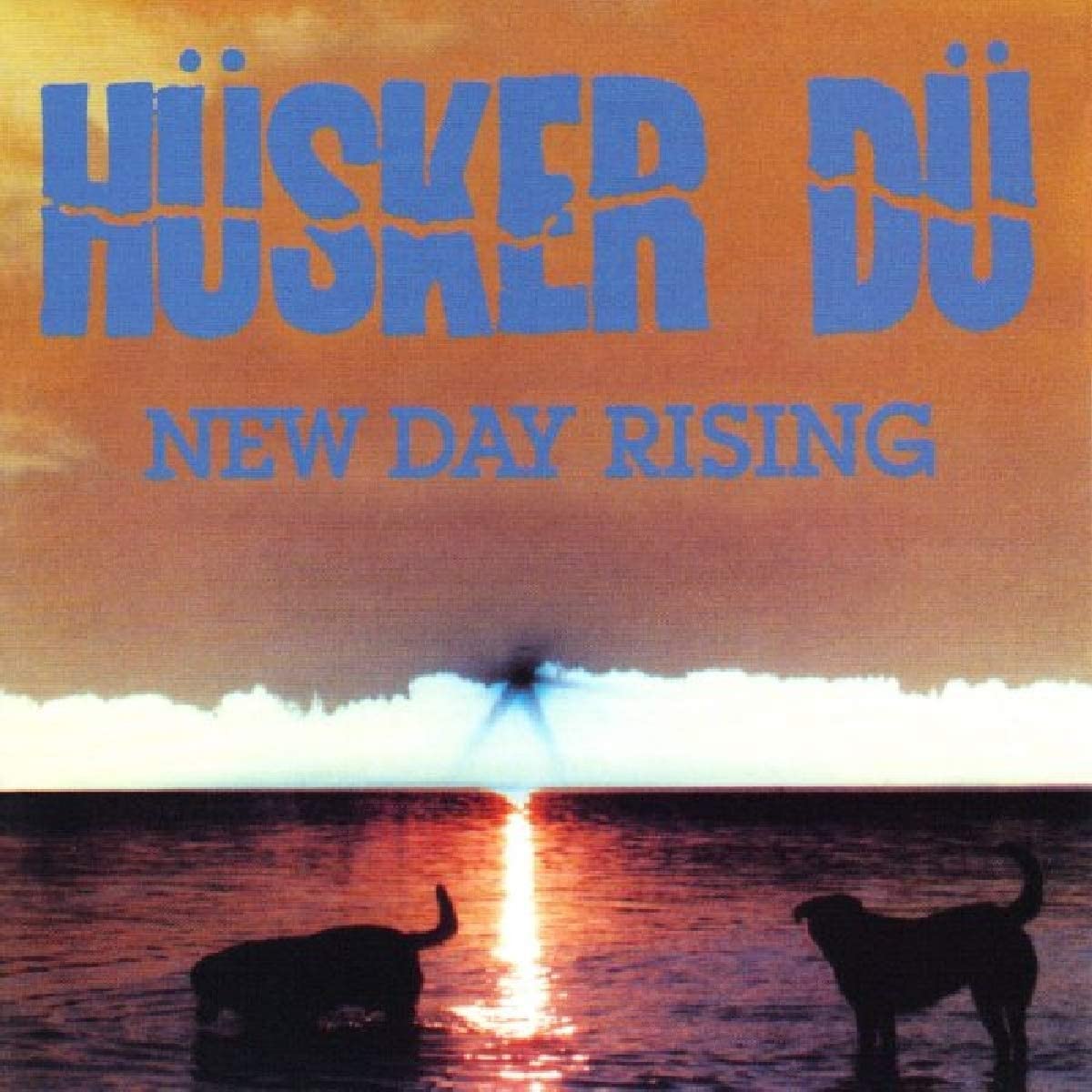 Husker Du/New Day Rising [LP]