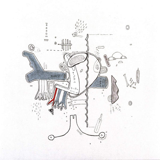 Frightened Rabbit/Tiny Changes [LP]