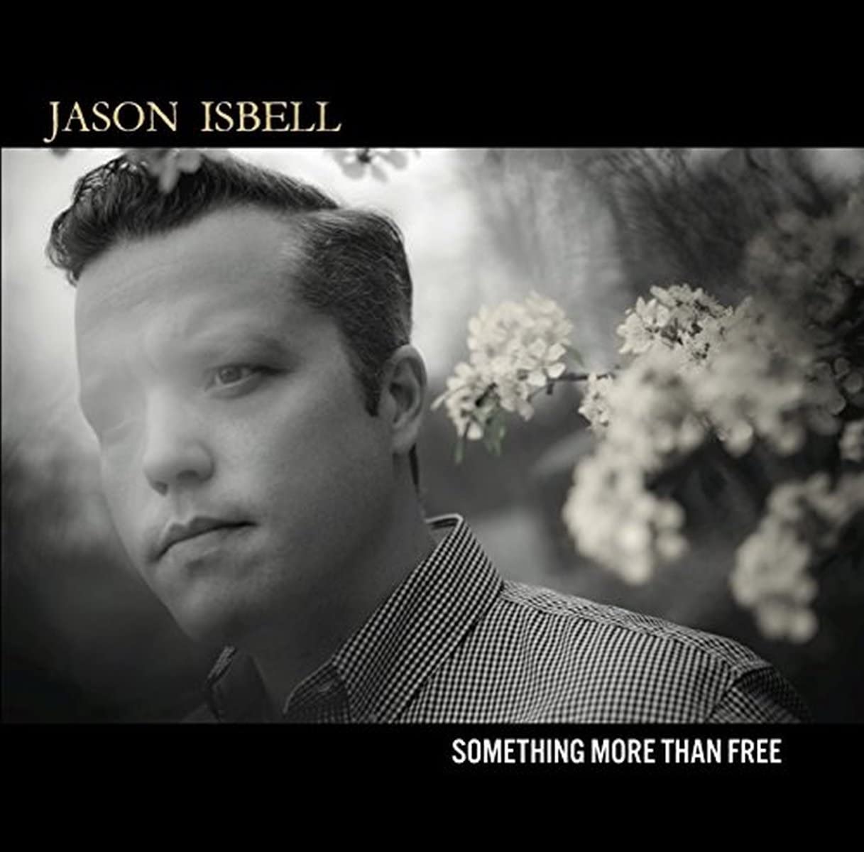 Isbell, Jason/Something More Than Free [CD]