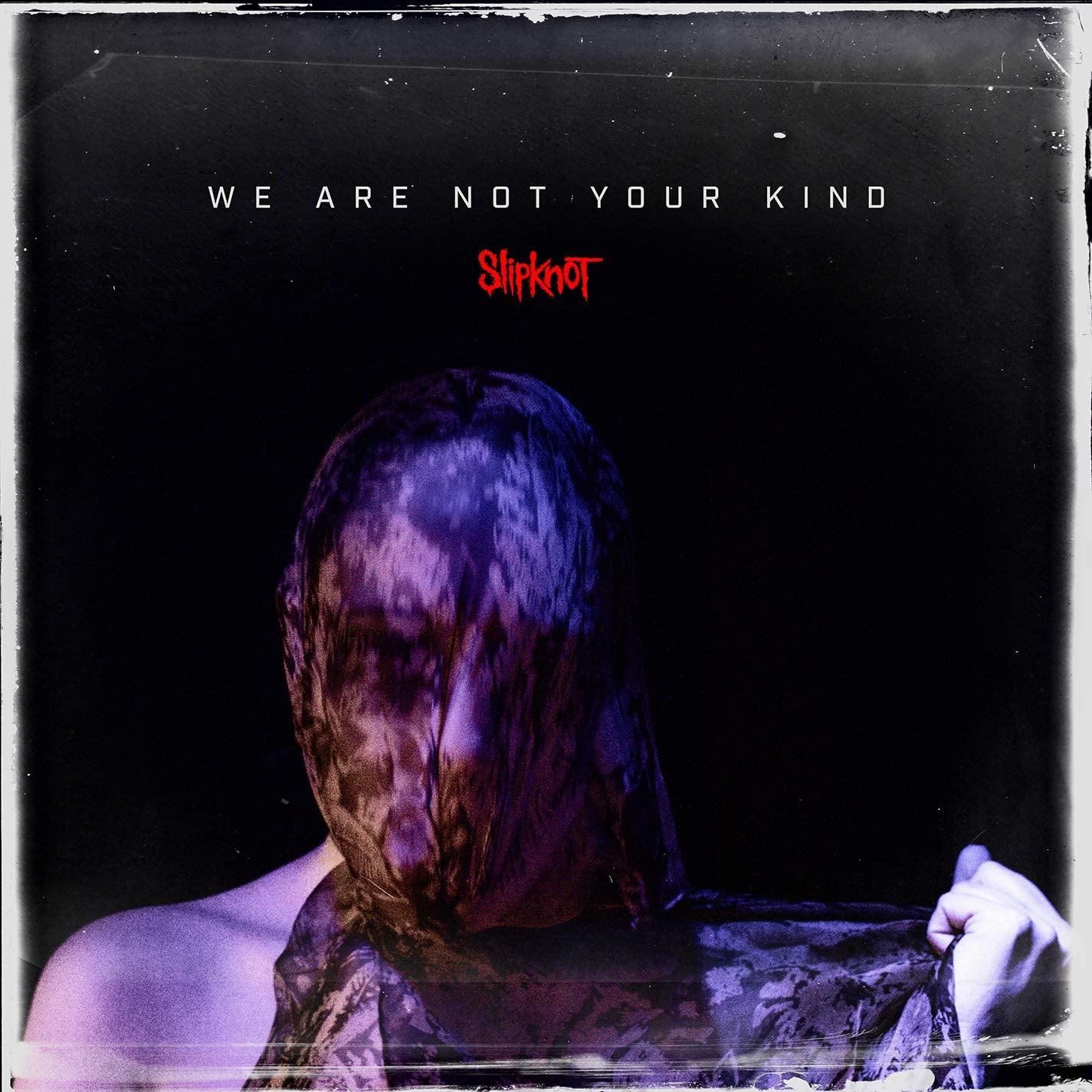 Slipknot/We Are Not Your Kind [LP]