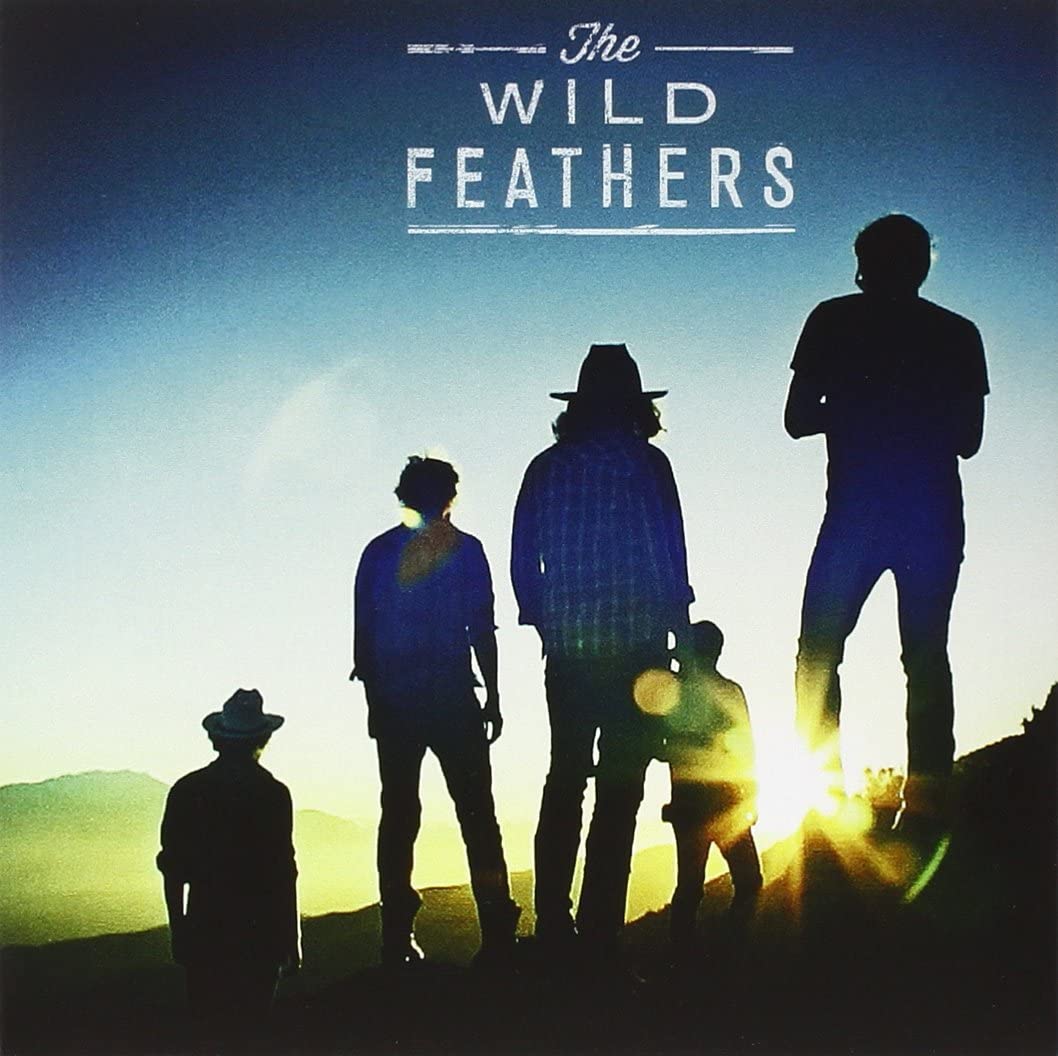 Wild Feathers/Got It Wrong [7"]