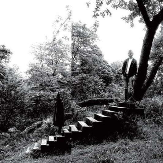 Timber Timbre/Timber Timbre [LP]