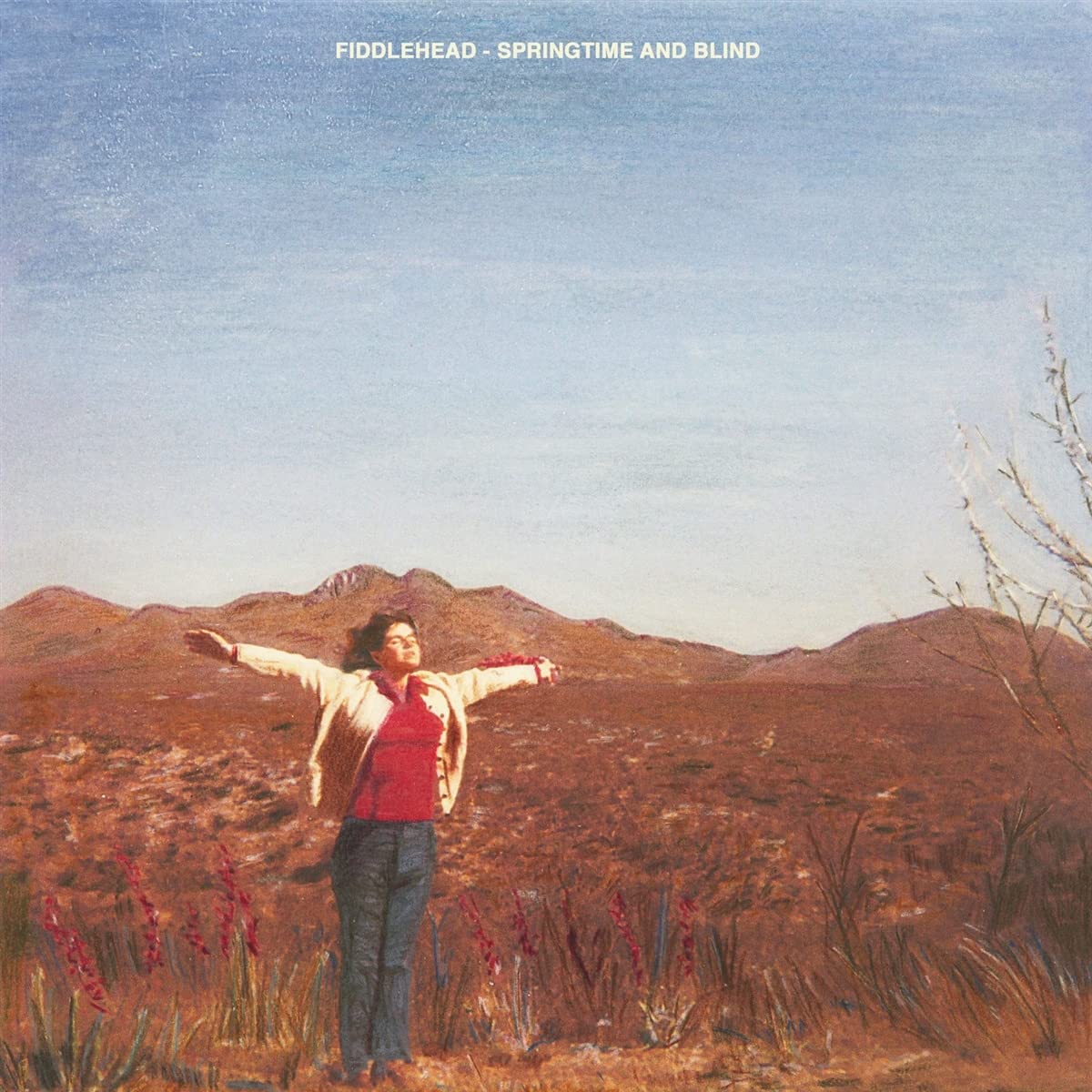 Fiddlehead/Springtime And Blind (Clear Pink Vinyl) [LP]