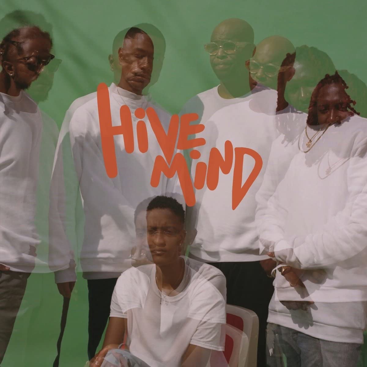 Internet, The/Hive Mind [LP]