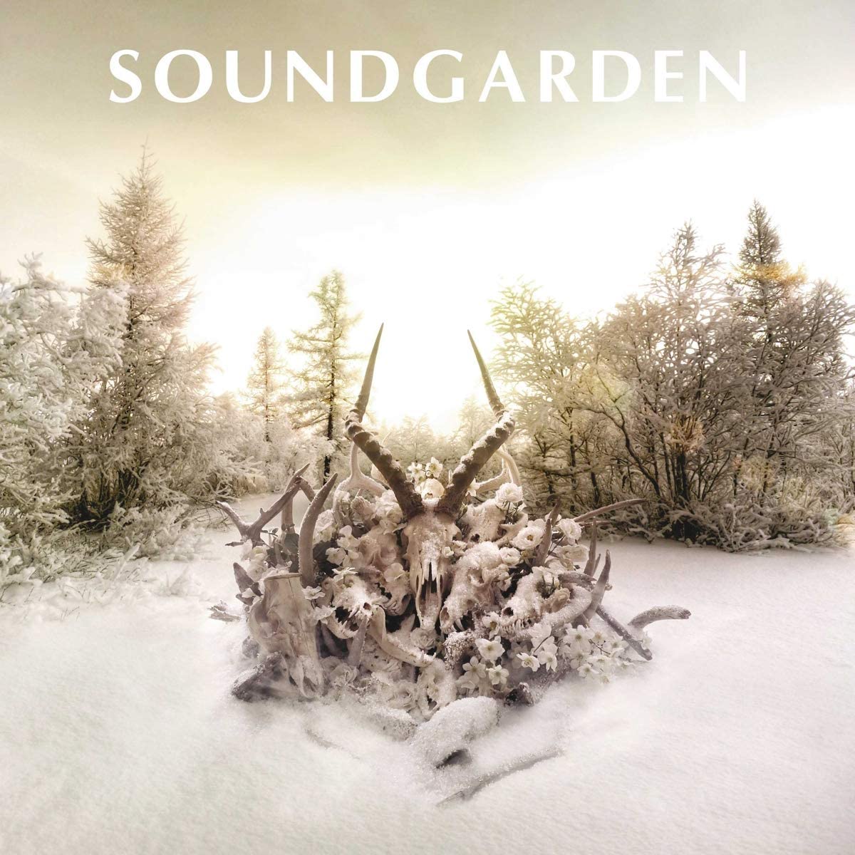 Soundgarden/King Animal [LP]