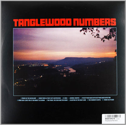 Silver Jews/Tanglewood Numbers [LP]
