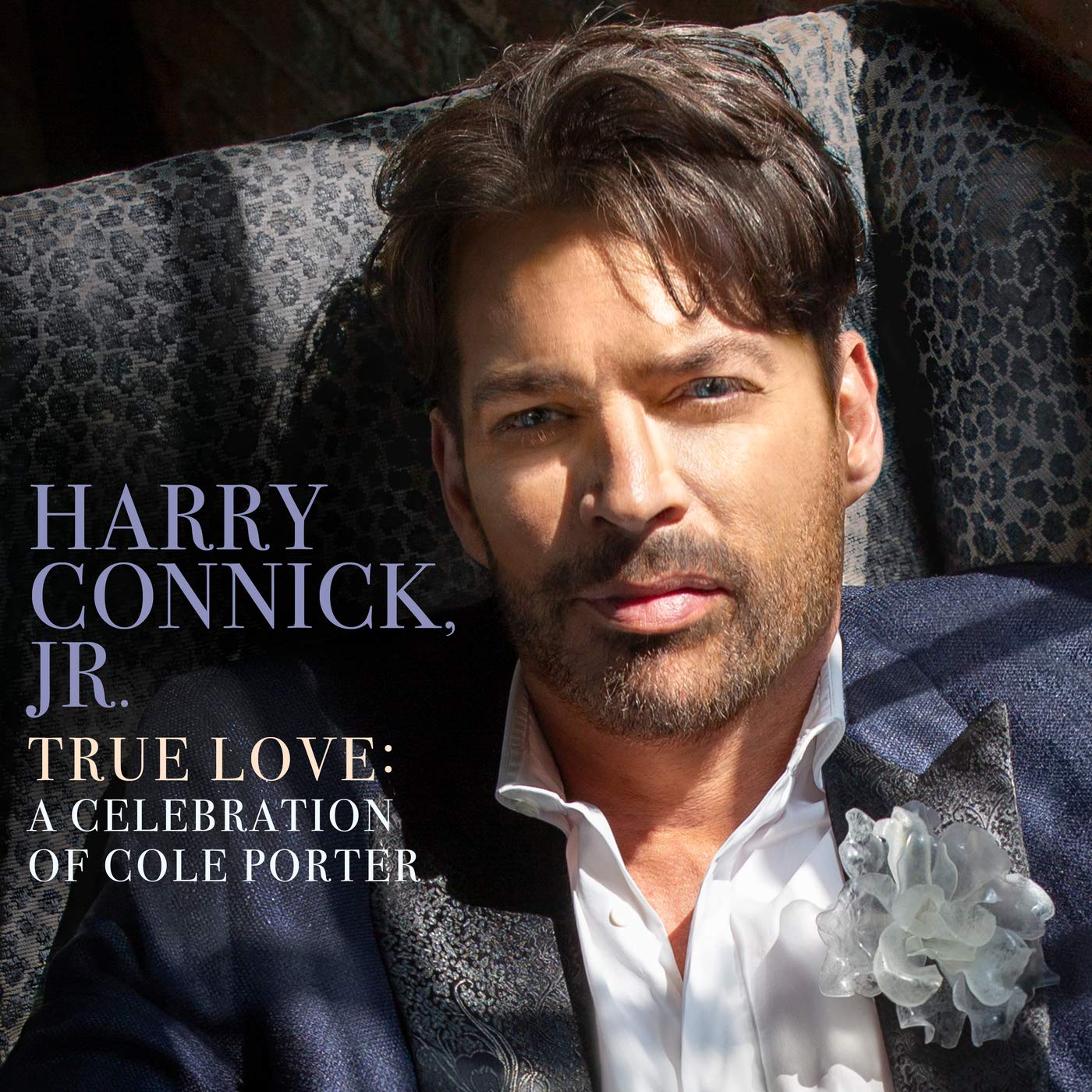 Connick Jr, Harry/True Love: A Celebration of Cole Porter [LP]