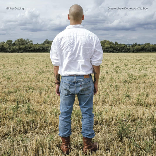Golding, Binker/Dream Like A Dogwood Wild Boy [LP]