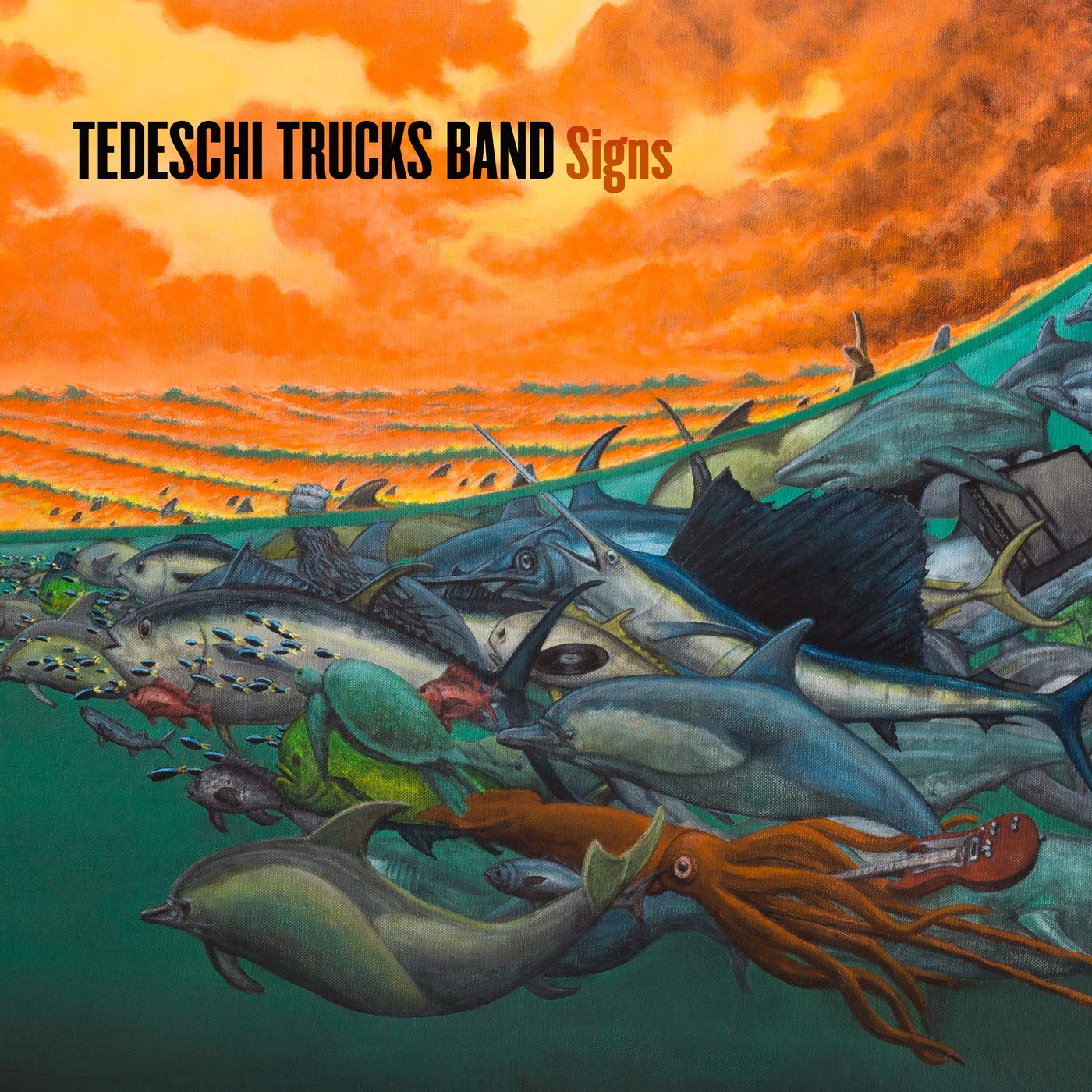 Tedeschi Trucks Band/Signs [CD]