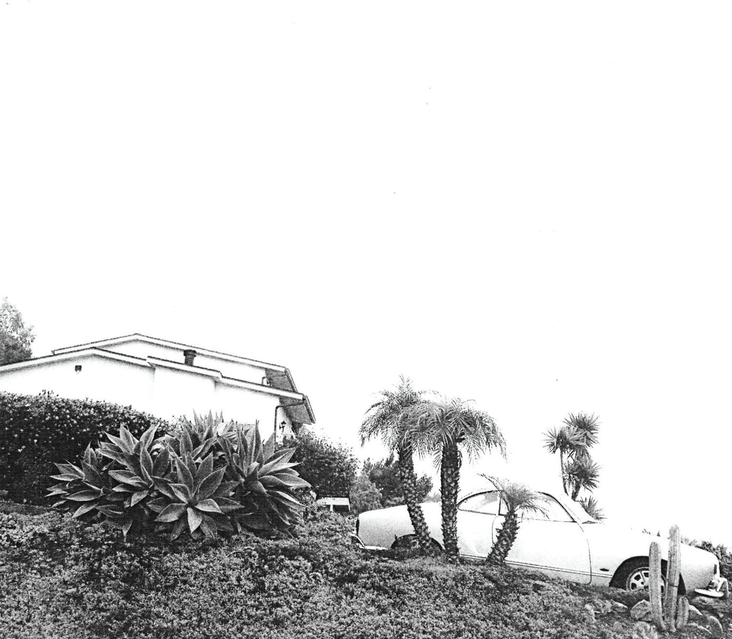 Timber Timbre/Hot Dreams [LP]