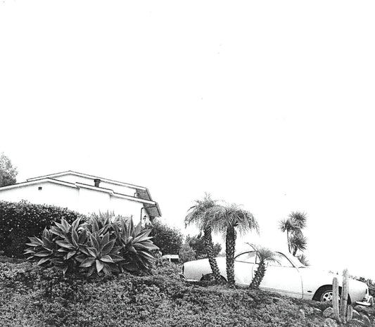 Timber Timbre/Hot Dreams [LP]