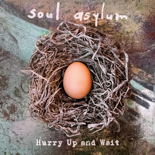 Soul Asylum/Hurry Up And Wait [LP]