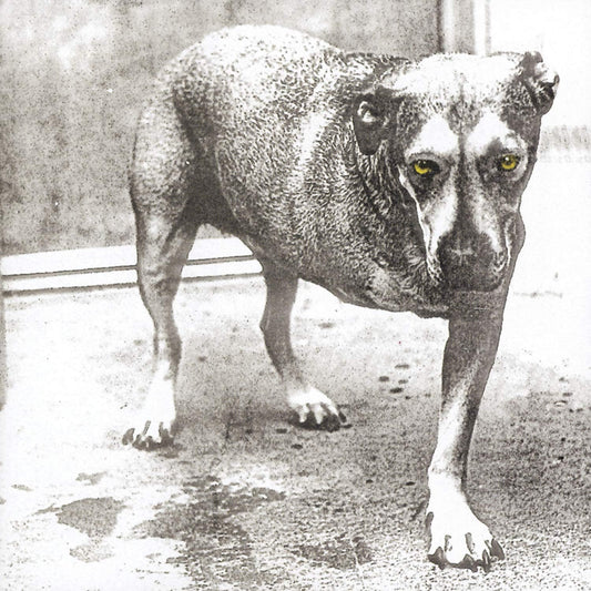 Alice In Chains/Alice In Chains [CD]