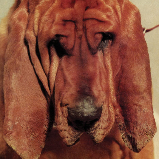 Segall, Ty/Goodbye Bread [LP]