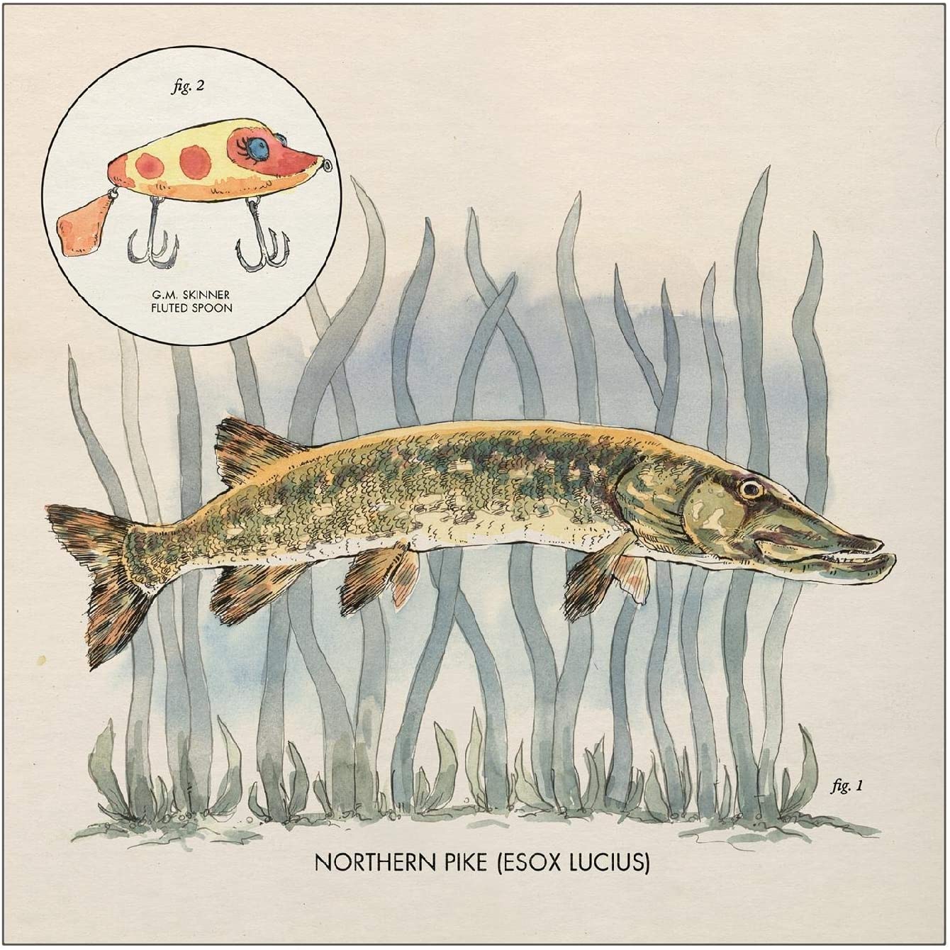 Lowe, Nick/Lay It On Me [LP]