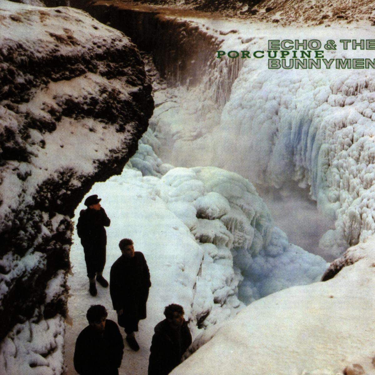 Echo & The Bunnymen/Porcupine [LP]
