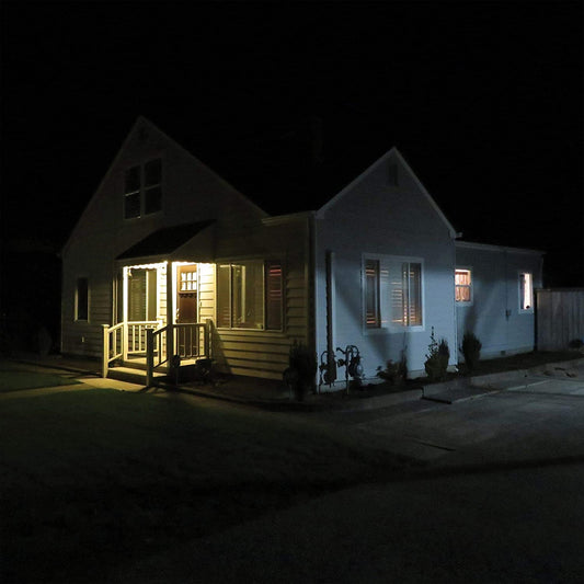 Jurado, Damien/What's New, Tomboy? [LP]