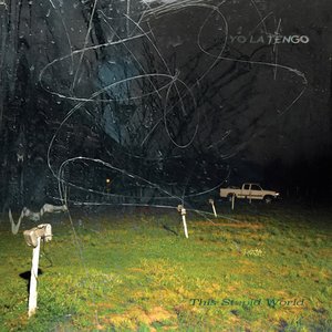 Yo La Tengo/This Stupid World [CD]