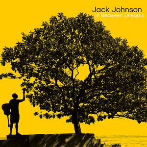 Johnson, Jack/In Between Dreams [CD]