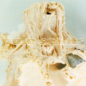 Pale Saints/In Ribbons (30th Anniversary Edition) [LP]