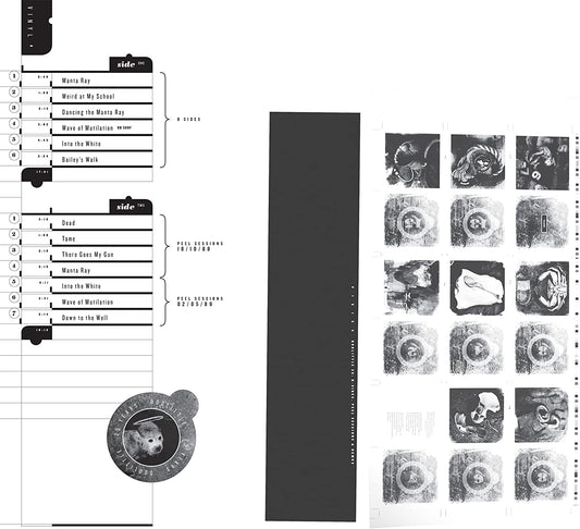 Pixies/Doolittle 25: B-Sides, Peel Sessions & Demos [LP]