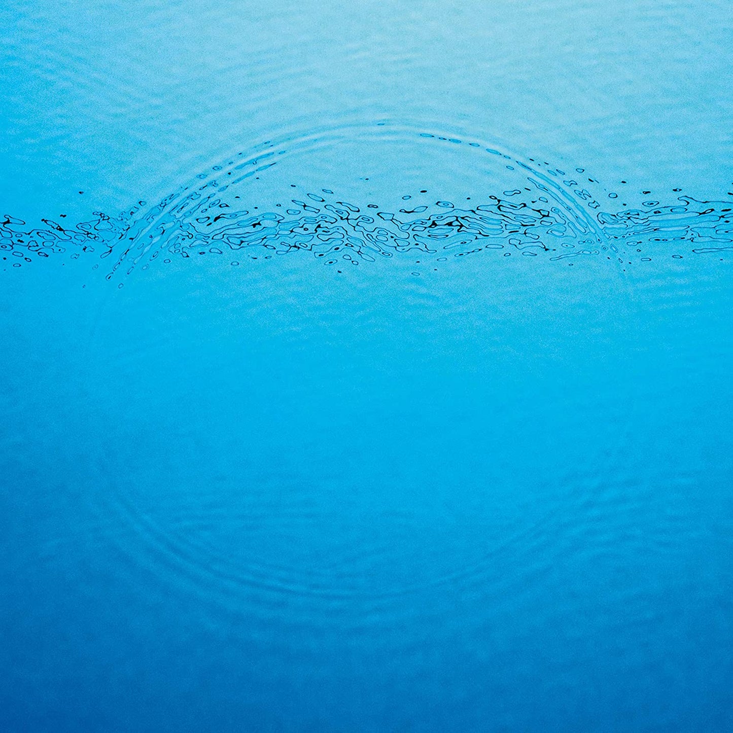 Caribou/Suddenly [LP]