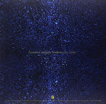 Childish Gambino/Awaken, My Love (Limited Edition Box Set) [LP]