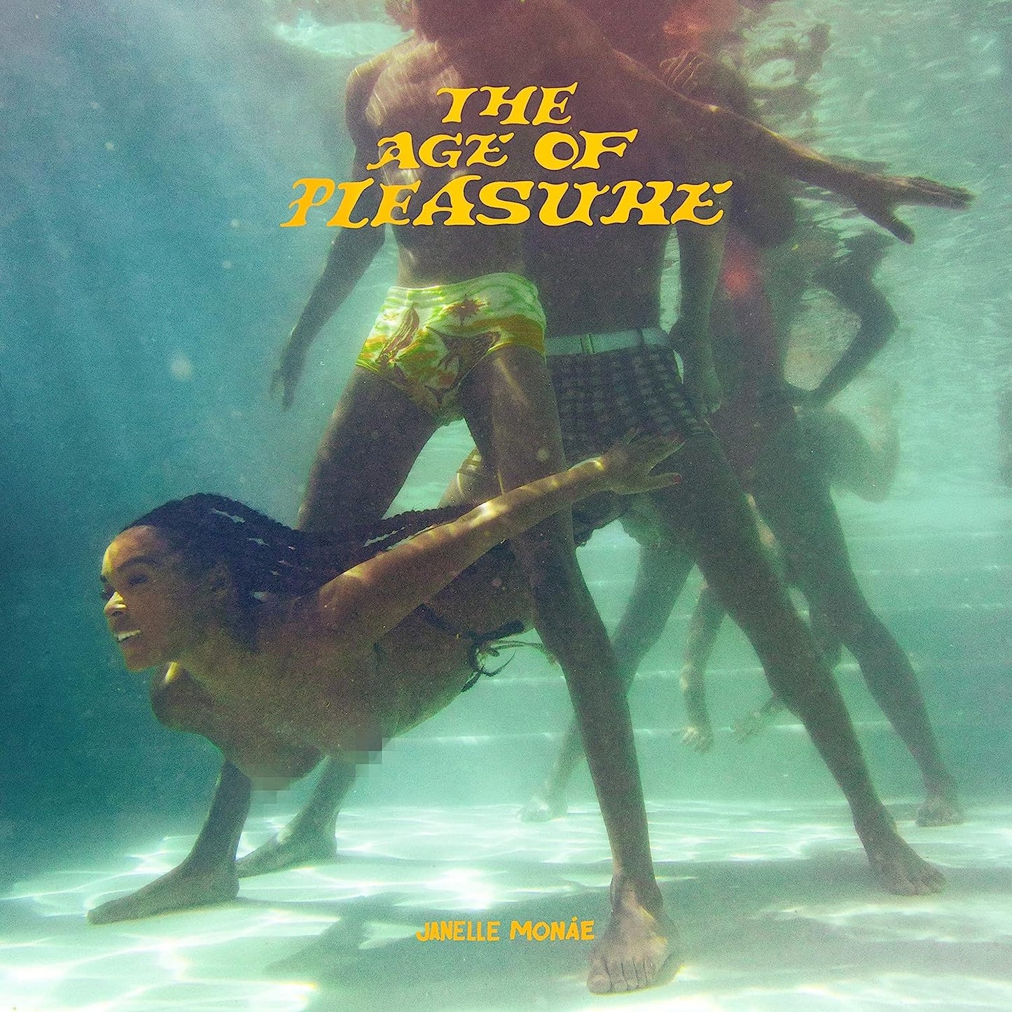 Monae, Janelle/The Age Of Pleasure [CD]
