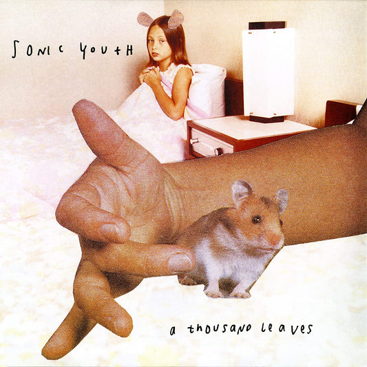 Sonic Youth/A Thousand Leaves [LP]
