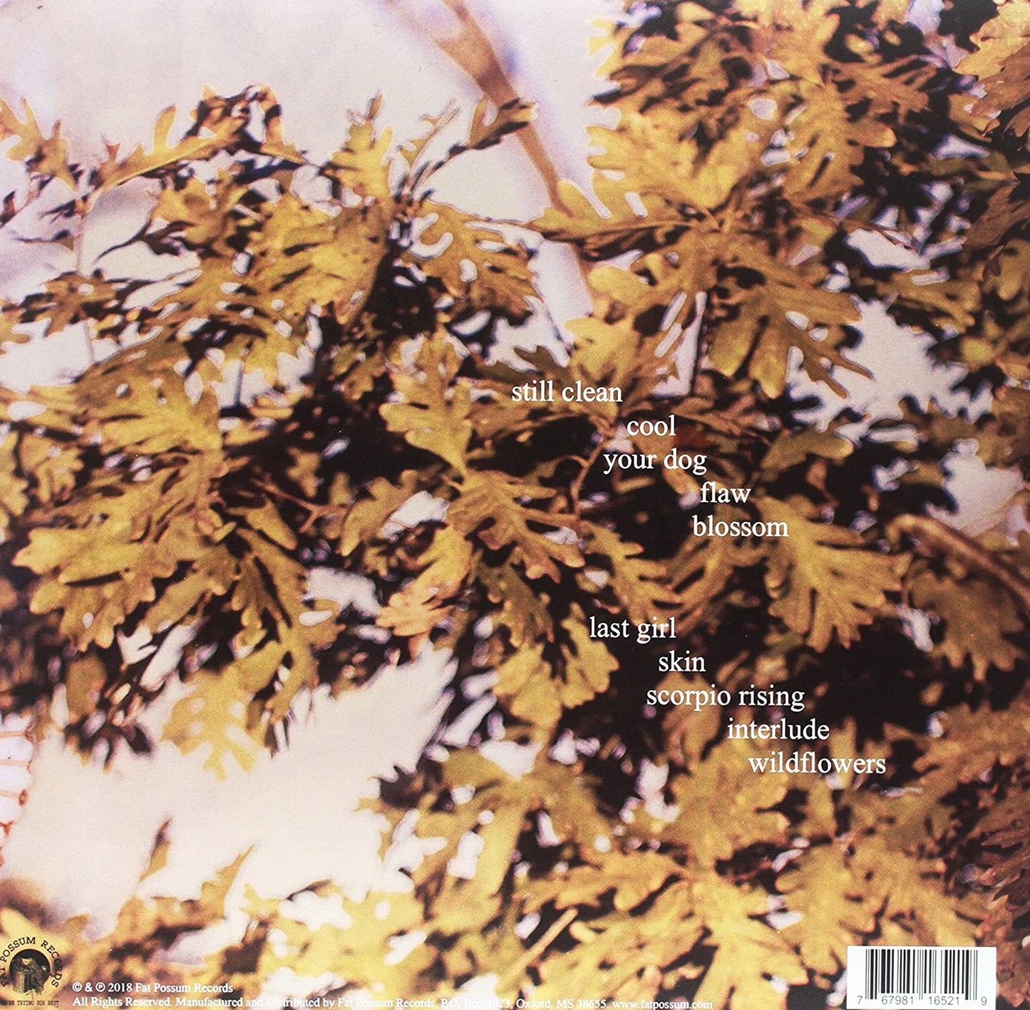 Soccer Mommy/Clean [LP]