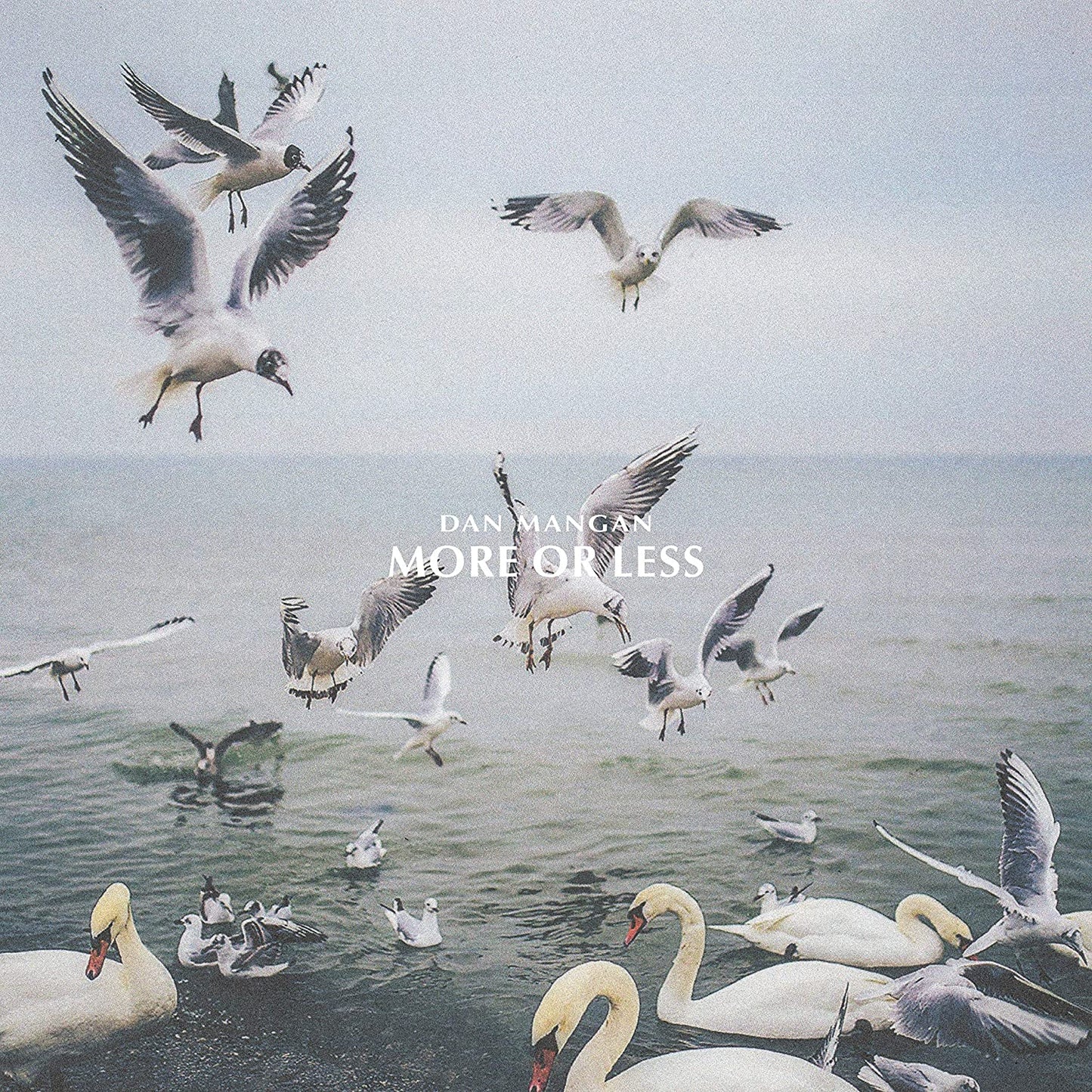 Mangan, Dan/More Or Less [LP]