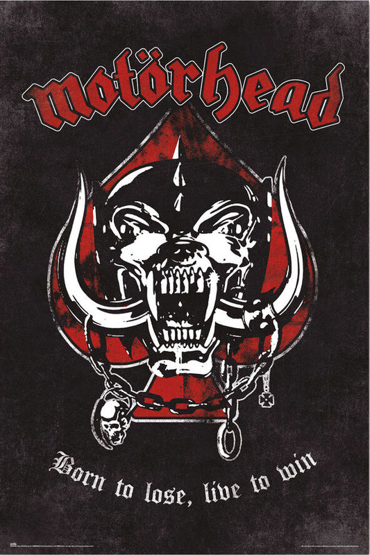 Poster/Motorhead - Born to Lose