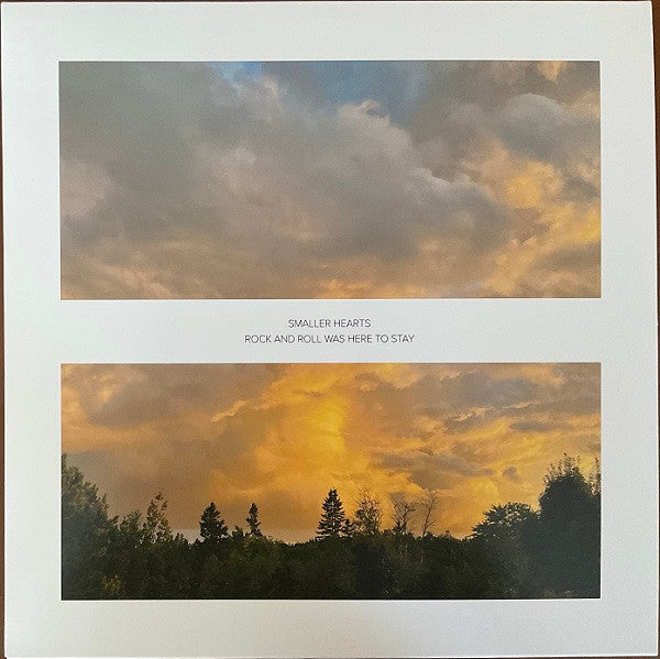 Smaller Hearts/Rock and Roll Was Here to Stay [LP]