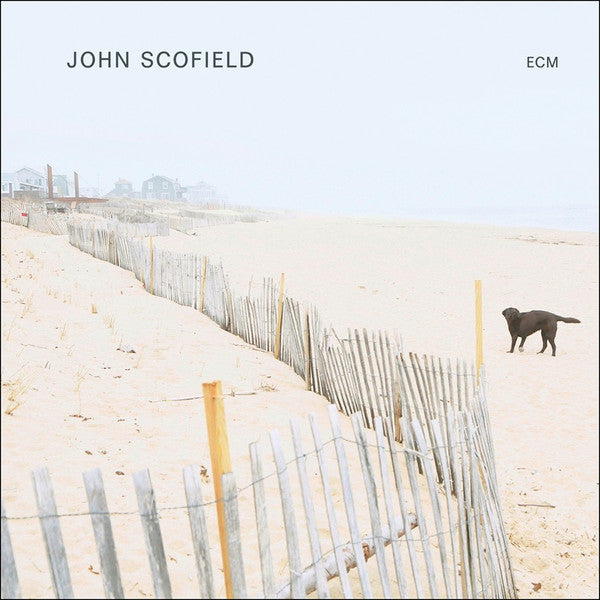 Scofield, John/John Scofield [LP]