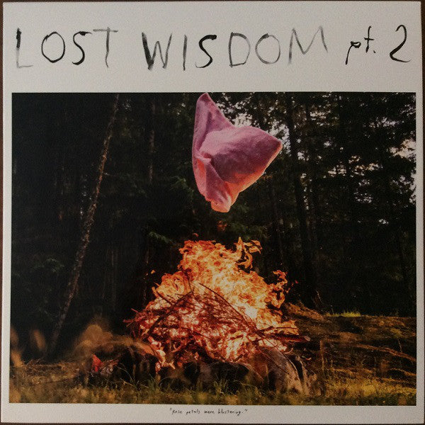 Mount Eerie/Lost Wisdom Pt 2 [LP]