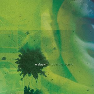 Eiafuawn/Birds In The Ground (Yellow Vinyl) [LP]