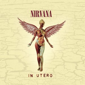 Nirvana/In Utero (30th Ann.) [CD]