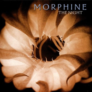 Morphine/The Night (Purple Vinyl) [LP]