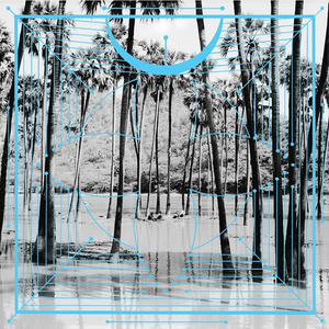 Four Tet/Pink (2LP Half Speed Master) [LP]