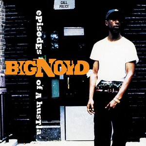 Big Noyd/Episodes Of A Hustla [LP]