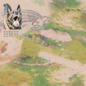 Feeble Little Horse/Girl With Fish (Pink Vinyl) [LP]